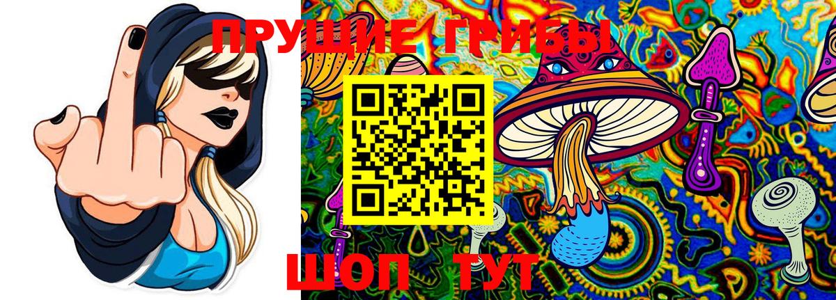 Галлюциногенные грибы Psilocybe  Вход с VPN  Набережные Челны  Галлюциногенные грибы Psilocybe 